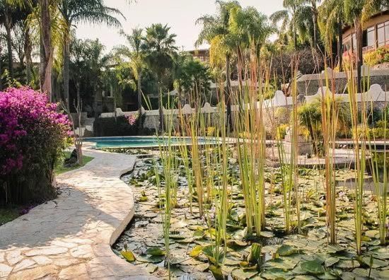 Jardin De La Abundancia - Holistic Resort For Events, Weddings & Retreats Tepoztlán Exteriör bild